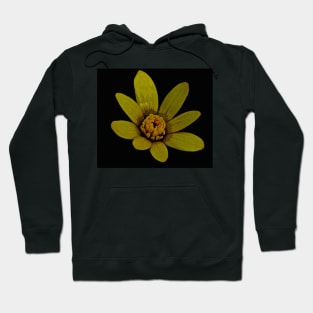 WOODLAND CELANDINE Hoodie